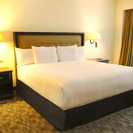 Wyndham Garden Guatemala City-3